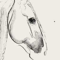 Emma Penttinen (@falter) 's Twitter Profile