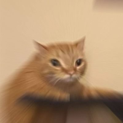 方冉冉さんのプロフィール画像