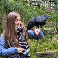 Anna Fabbri (@annafabbri_) 's Twitter Profile Photo