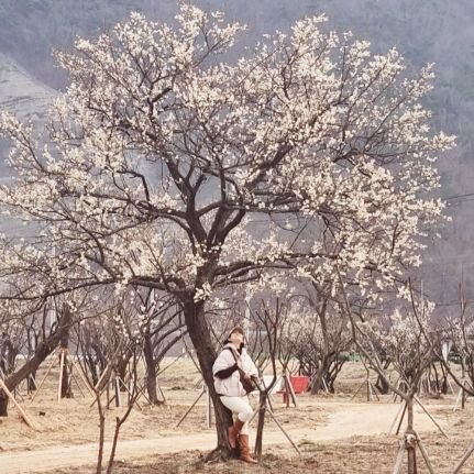 매일이 선물이고 축복이다
 음악과 미술 , 언어문화와음식 
에밀리의 일본어집밥.
쇼셜쿠킹.건강식요리교실.도시락수업운영.유튜브YOUTUBEを 日本語で
brunch작가