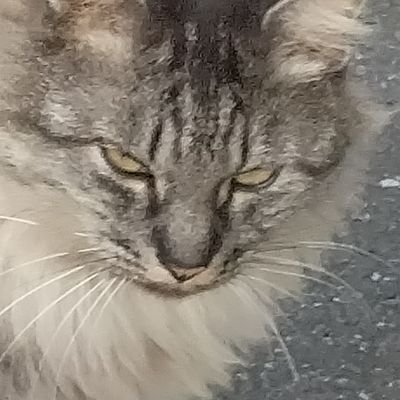 shimesabasamasa's profile picture. ADHD(多動性強め)/理系院卒→製薬業界→業界内で２回転職
自分の特徴に合わせた対策をしつつ、ゆるゆる生きてます。
職場環境を変えられない/同じミスを繰り返す/フォローするとそんな悩みの出口が見つかるかも。