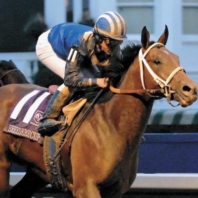 Kentucky Basketball , Florida State Football, all the horses