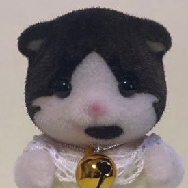 子供の頃から大好きなシルバニアを、再び愛で始めた者のアカウントです🥺中の者は、動物病院で勤務しつつ犬猫と生活しています✨大好きに囲まれる日々です🌷2023.01 愛猫こんぶの分身シルバニア誕生💪