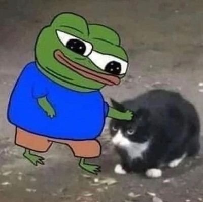 A cat in pantsさんのプロフィール画像