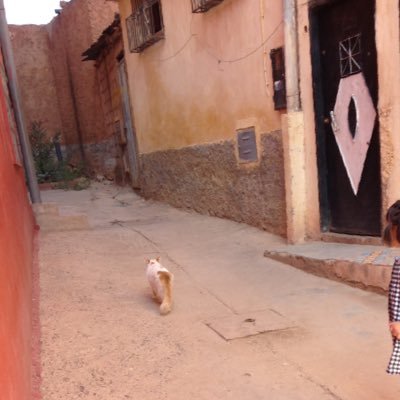 sureitdoes2007's profile picture. はじめまして☺︎ モロッコ人夫と国際結婚しています🇲🇦ここ数年で渡航のルールが大きく変わったため直近でモロッコと日本を行き来している方をフォローさせてもらっています🙏 よろしくお願いします✨