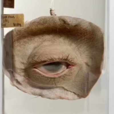 廣隸文さんのプロフィール画像