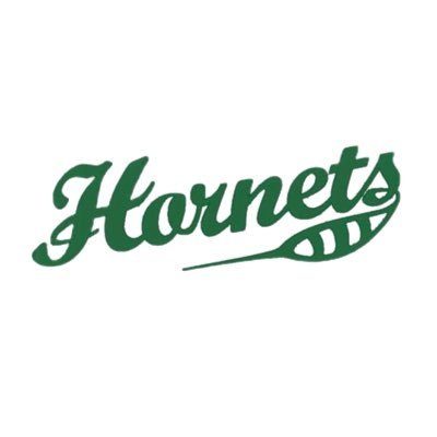 【クラファン挑戦中】東北大学アメフト部 HORNETS Profile