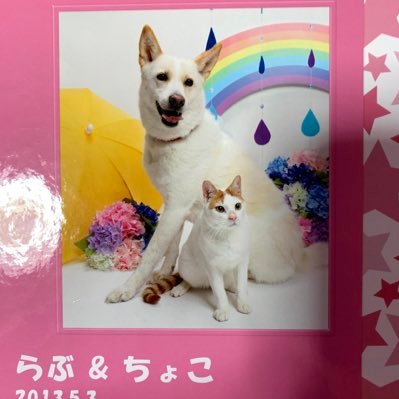 8Ty4HYKrNh2T9SV's profile picture. 英里佳❤️福岡住み KinKi Kids❤️ 堂本剛❤️堂本光一❤️剛くん寄り❤️