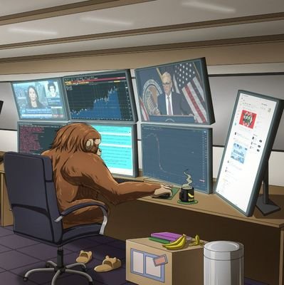 sj2321's profile picture. 一个爱好投资的人