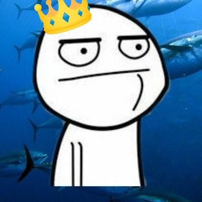 @WortenPT Fan Account
Biografia? Não tenho vida pra isso. Estou ocupado a procurar Thunnus.