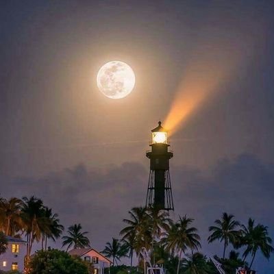 Miracle11994's profile picture. ทุกการเปลี่ยนแปลงจะพาเราไปเจอสิ่งที่เหมาะสมกว่าเสมอ☀️🌻