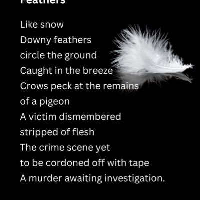 M_StewartSmith's profile picture. Writer, Reader, Sometime poet