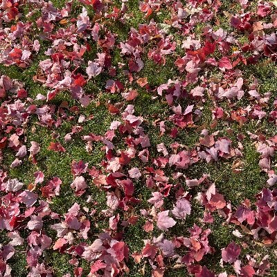 Newxhandle's profile picture. 