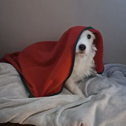 Marzena63105832's profile picture. Woman