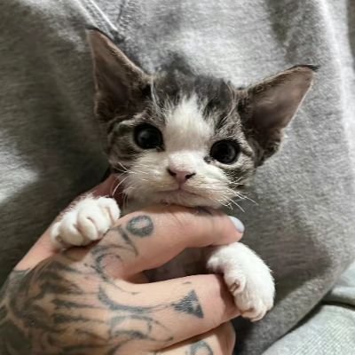 wwwwq_d39's profile picture. 