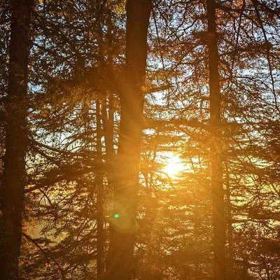 tusharg29824403's profile picture. 