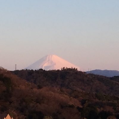 ojikazoooo's profile picture. 投資に興味を持ったのはかれこれ20年前。FXを始めたのも結構早かった。 しかし、勝てたためしはない。 EAや、コピトレに参戦しています。 かなりの勉強代を、相場に捧げています。 最近はもっとディープな世界を探索中。 こちらでまとめはじめました