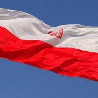 m_jasinsk's profile picture. Myślę więc jestem