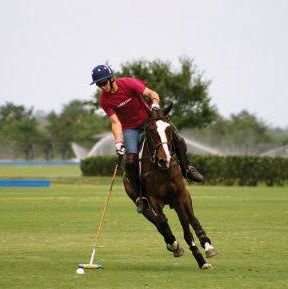 afaaqabubakr's profile picture. آتے ہیں غائب سے یہ مضامیں خیال میں