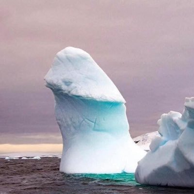 actros510510's profile picture. 