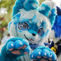 路云和月葳🔜HiFurry (@schrodingerewin) 's Twitter Profile Photo 路云和月葳🔜HiFurry (@schrodingerewin) 's Twitter Profile Photo