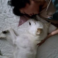 겨울토끼곰 (@siasura) 's Twitter Profile Photo