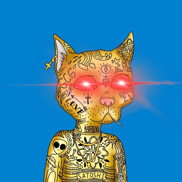 crazychou77's profile picture. 