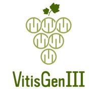 VitisGen3(@VitisGen) 's Twitter Profile Photo