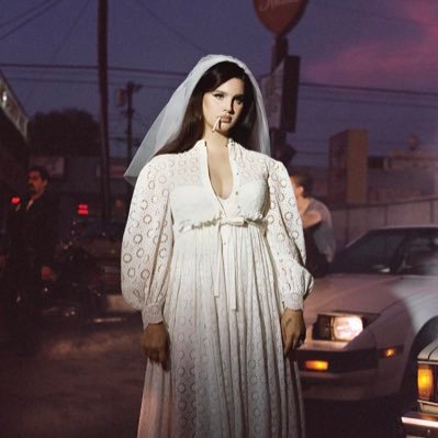 Stray_Storms's profile picture. ╮(´•ω•)╭ ♡