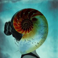 EɳιɠɱαSԋҽʅʅʂ•🐚• (@shellsenigma) 's Twitter Profile