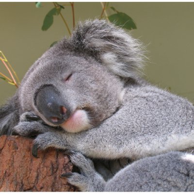 CVladV's profile picture. 