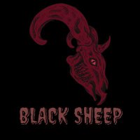 Black Sheep Travels (@blacksheeptrvls) 's Twitter Profile