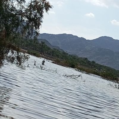 bwmdlrs27603351's profile picture. 