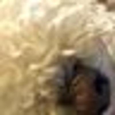 無料ゲーム #DIGIMON  を楽しもう！