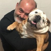 Engineer Curtis (@engineercurtis) 's Twitter Profile