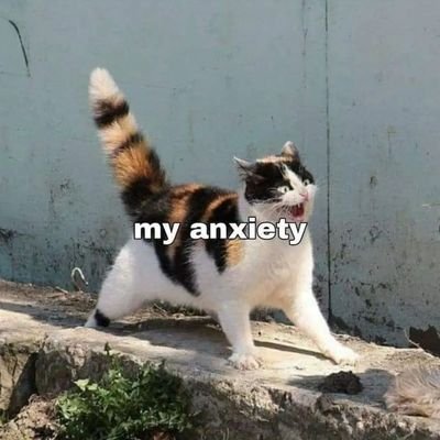 ann3h's profile picture. variety gamer 🐬