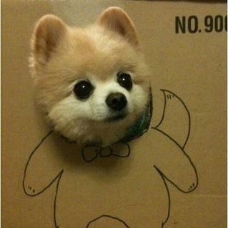 JiaWenW's profile picture. Instagram: jiawenwu01
Please FOLLOW me, i FOLLOW you back :)