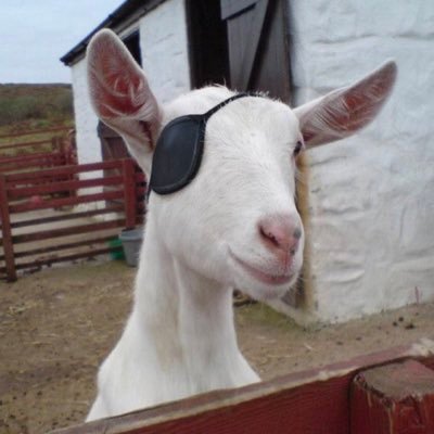 Kinkyderra1's profile picture. AA Member| Aquarian|Soul Spice|Zikorah's Mum|BornAgain|Ada Mbaitoli|Rare|Survivor|AfricanChikito|😘😘😘