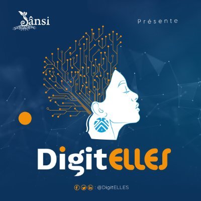 DigitELLES est un programme d'initiation et de formation des jeunes filles et femmes aux métiers du numérique.