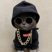 Lumeshito (@lumeshhh) 's Twitter Profile