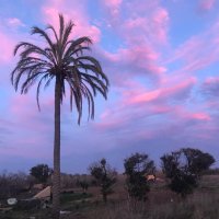 Mia Fennel (@martakiahora) 's Twitter Profile Photo