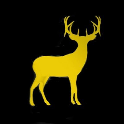 theyellowbuck's profile picture. yellowbuckproductions
Bringing you the best of business, comedy, and everything in between - all powered by AI