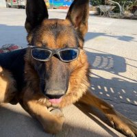 Java (@ljava72l) 's Twitter Profile