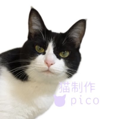 猫製作picoのサブアカウントになります。 今現在は避難アカウントとして利用してます。普段はこちらは日常用としてや趣味を呟く用です(*´°`*)こちらも仲良くして頂けたら幸いです+ﾟ｡*(*´∀｀*)*｡ﾟ+ メインアカウント→picopoco08