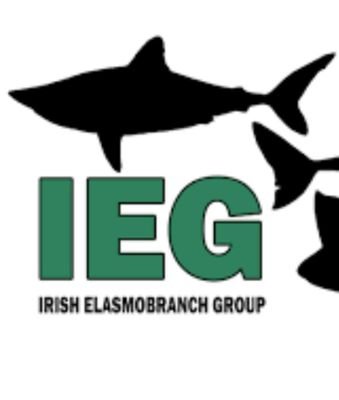 Irish Elasmobranch Group