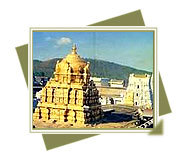 Information on Tirupati Tirumala Travel Guide with places to See, Hotels, Map, Weather, Book Flights, Buses & Trains to Tirupati And Temple's information.