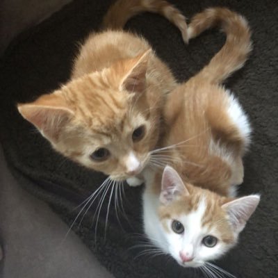 soebuchi___'s profile picture. 