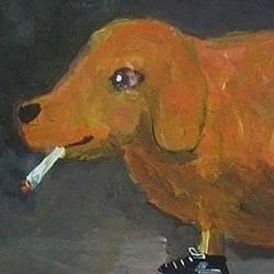 mayo7nfv's profile picture. 