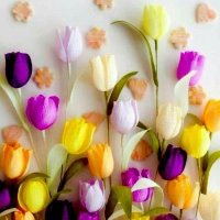 💋خلووودي 🍭 صنعاء💋 (@khlwwwdy3) 's Twitter Profile