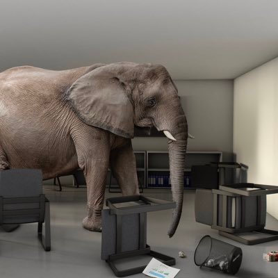 I think it’s time to address the elephant in the room